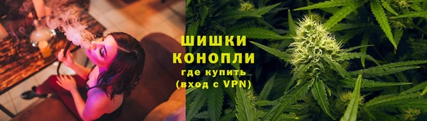 прущая мука Дмитриев