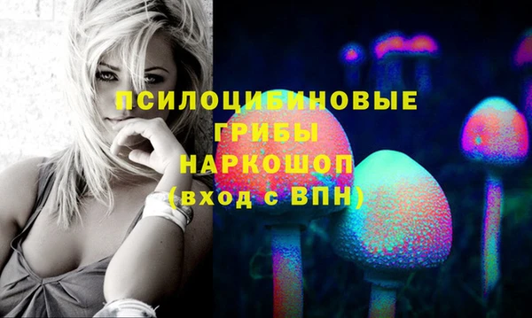 прущая мука Дмитриев