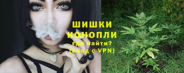 ПСИЛОЦИБИНОВЫЕ ГРИБЫ Дмитров