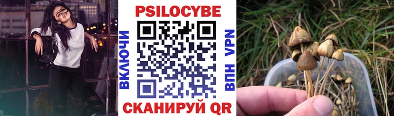 OMG маркетплейс  Зима  Галлюциногенные грибы MAGIC MUSHROOMS  сколько стоит 