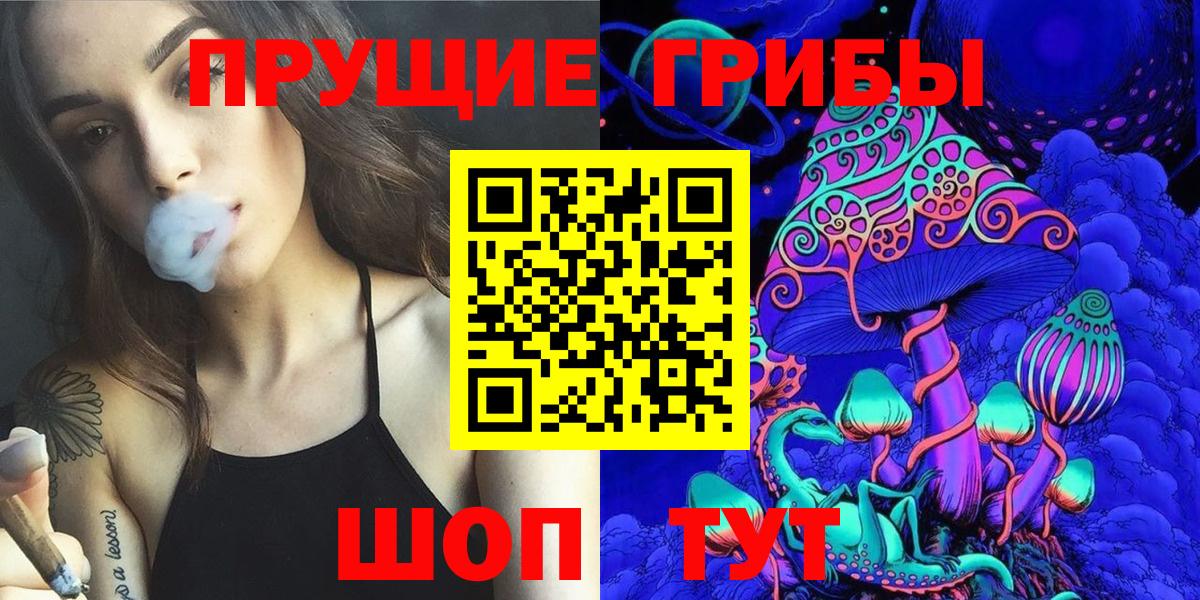 Галлюциногенные грибы Psilocybine cubensis  Вход с VPN  Зима  Псилоцибиновые грибы GOLDEN TEACHER 